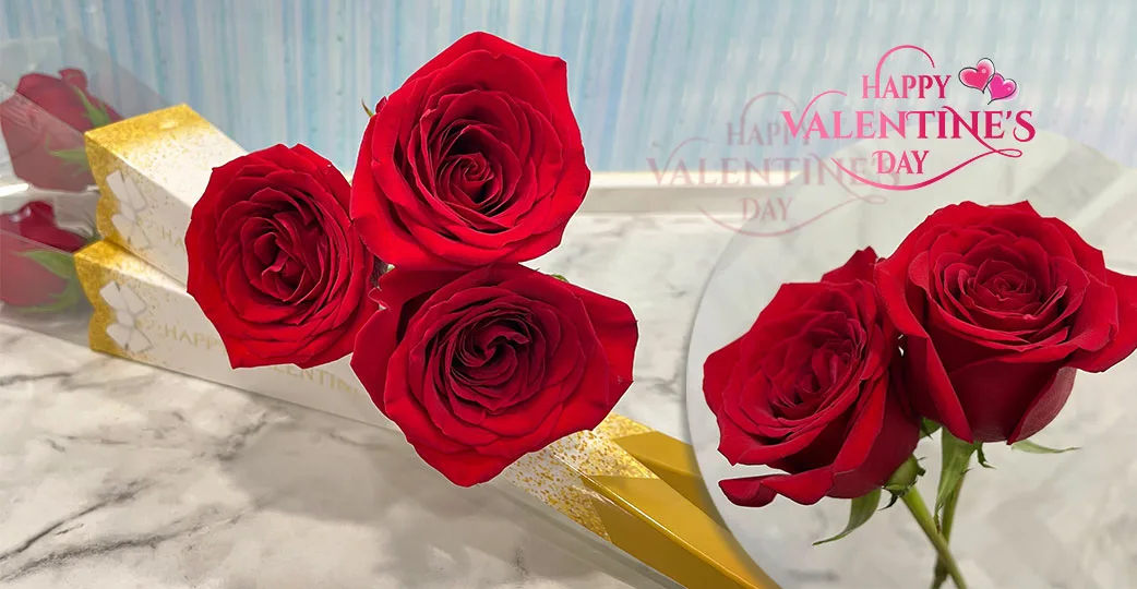 統一集團獻上6.5萬朵「進口空運玫瑰」，情人節鮮花怒放共譜浪漫
