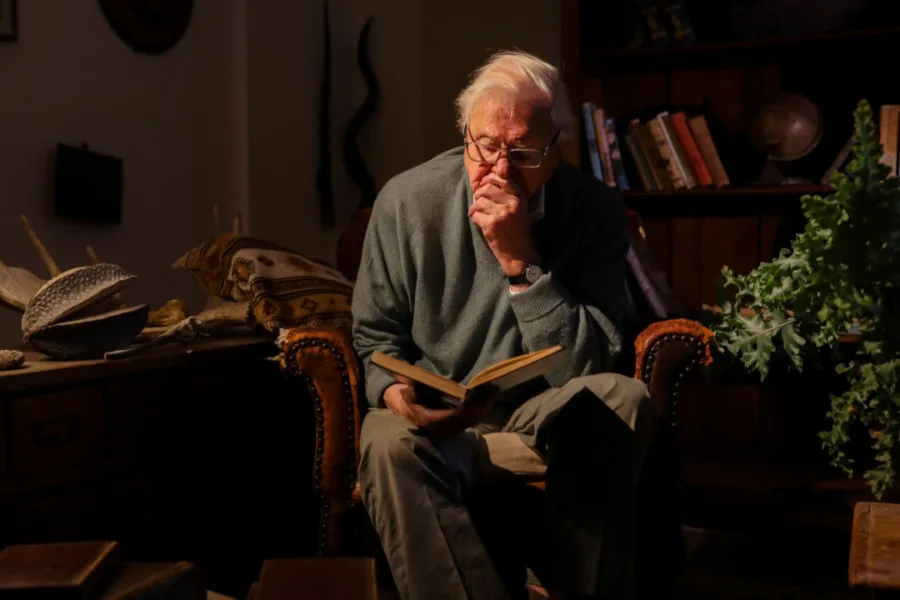 Netflix新片 電影 媒體採購 廣編稿 廣告合作 異業合作 互惠 大衛艾登堡 大猩猩的故事 A Gorilla Story: Told by David Attenborough  大衛艾登堡 David Attenborough  2026 紀錄片   詹姆斯里德 James Reed  艾雷斯泰法瑟吉爾 Alastair Fothergill  帕布洛大猩猩 盧安達 紀錄片