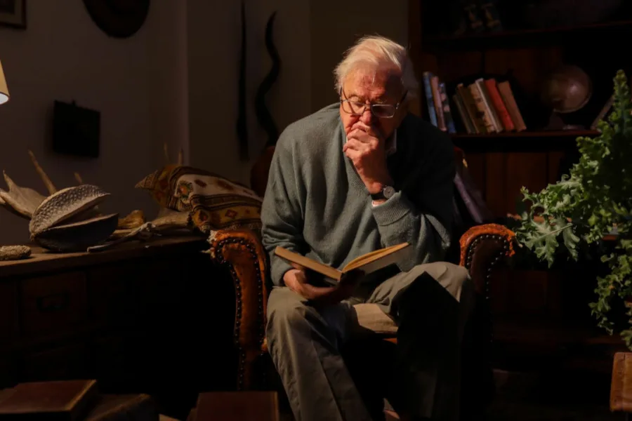 Netflix新片 電影 媒體採購 廣編稿 廣告合作 異業合作 互惠 大衛艾登堡 大猩猩的故事 A Gorilla Story: Told by David Attenborough  大衛艾登堡 David Attenborough  2026 紀錄片   詹姆斯里德 James Reed  艾雷斯泰法瑟吉爾 Alastair Fothergill  帕布洛大猩猩 盧安達 紀錄片