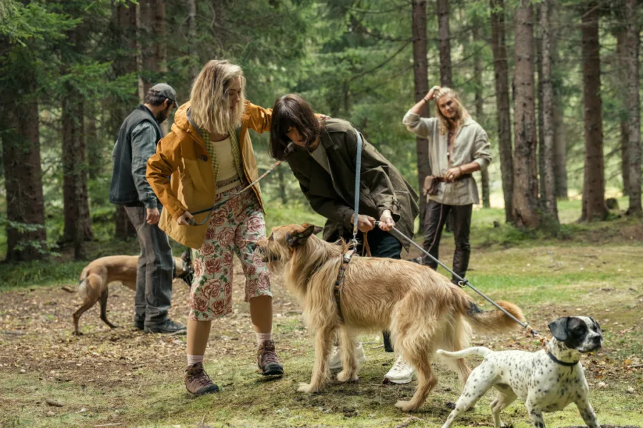 Netflix新片 電影 媒體採購 廣編稿 廣告合作 異業合作 互惠 汪星人訓練營 影評 Netflix 德國喜劇 2026 Eat Pray Bark 電影 訓犬師 提洛爾山脈 劇情解析 寵物心理學 飼主教育 社交焦慮 喜劇電影 推薦 德式幽默 人犬關係 心理救贖 角色分析 導讀 毛小孩 訓練方法