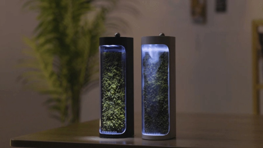 自然造氧！會呼吸的《 Moss Air》 植栽空氣淨化瓶，輕鬆擁抱綠意生活 - moods
