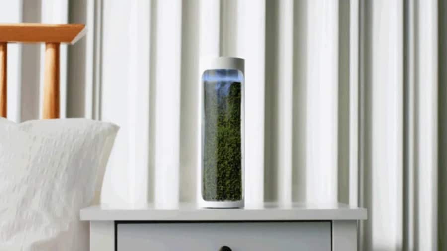 自然造氧！會呼吸的《 Moss Air》 植栽空氣淨化瓶，輕鬆擁抱綠意生活 - moods