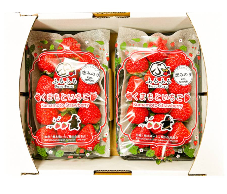 熊本縣產地直送冬季必吃的熊本縣熊紅草莓