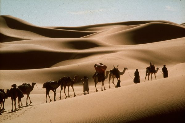 ▲ 北非撒哈拉沙漠的美景令人震懾 ( 圖 甲上娛樂 )