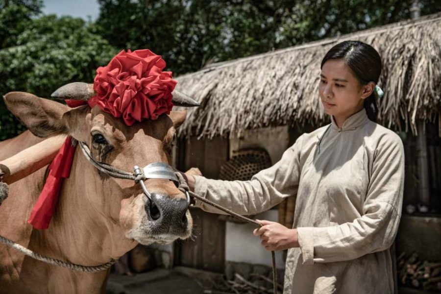 牛車來去 李岳峰 安心亞 楊烈 蔡昌憲 米可白 楊子儀 游安順 陳博正 林美秀 加賀美智久 林健寰 江國賓 孫鵬 藍心湄