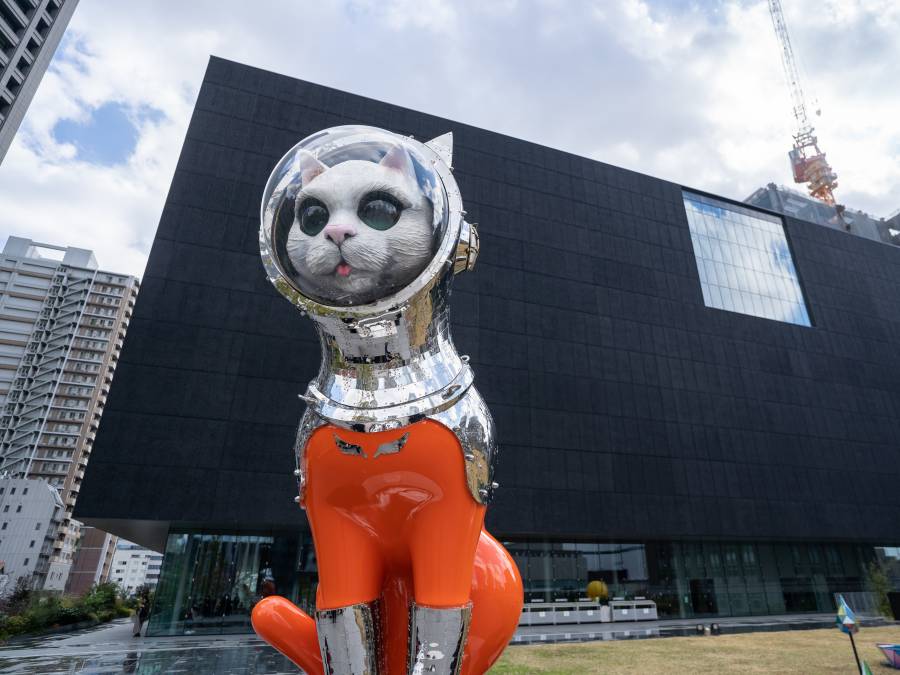 位於中之島美術館入口由當代藝術家矢延憲司創作的的雕塑作品「SHIP'S CAT（Muse）」，靈感來自大航海時代時，貓隨船員一同登船