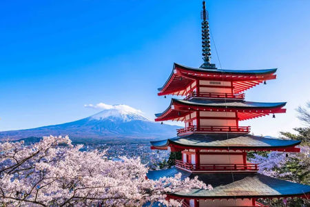 從新倉淺間神社的五層寶塔欣賞富士山、整個城市和盛開的櫻花全景