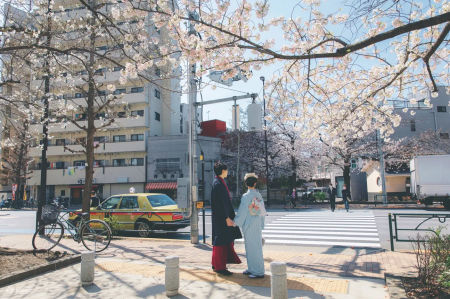 旅客可沿途欣賞淺草櫻花街景，或來到周邊的隅田公園，輕鬆拍出網美大片