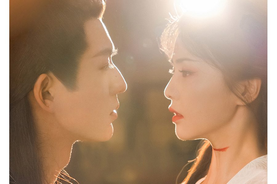 寧安如夢 張凌赫  王星越 周峻緯 劉些寧 葉晞月