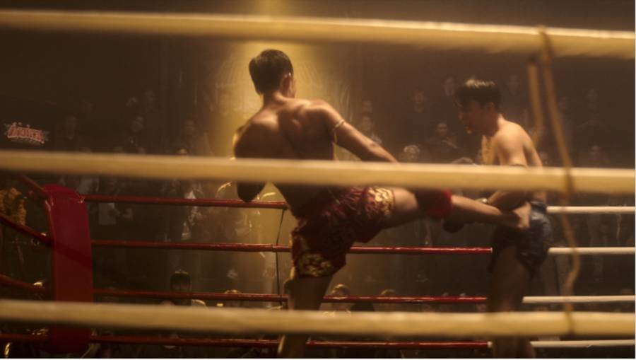 非法賭博到打假拳，《痛心疾首：泰拳真面目》揭露泰拳這項運動背後的黑暗地下世界。