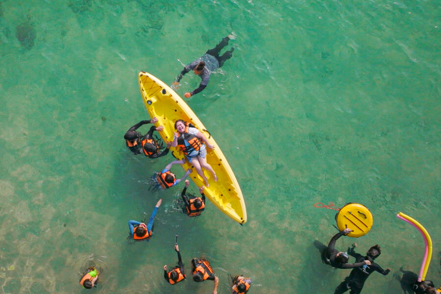 老少女奇遇記 楊貴媚 鍾欣凌 嚴藝文 胡宇威