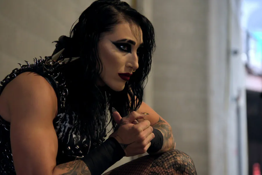 WWE幕後追蹤  Netflix 新片 媒體採購 WWEUnreal 摔角紀錄片 超級巨星 幕後故事 熱血摔角