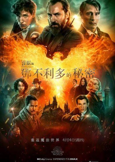 怪獸與鄧不利多的秘密 裘德洛 J.K.羅琳 艾迪瑞德曼