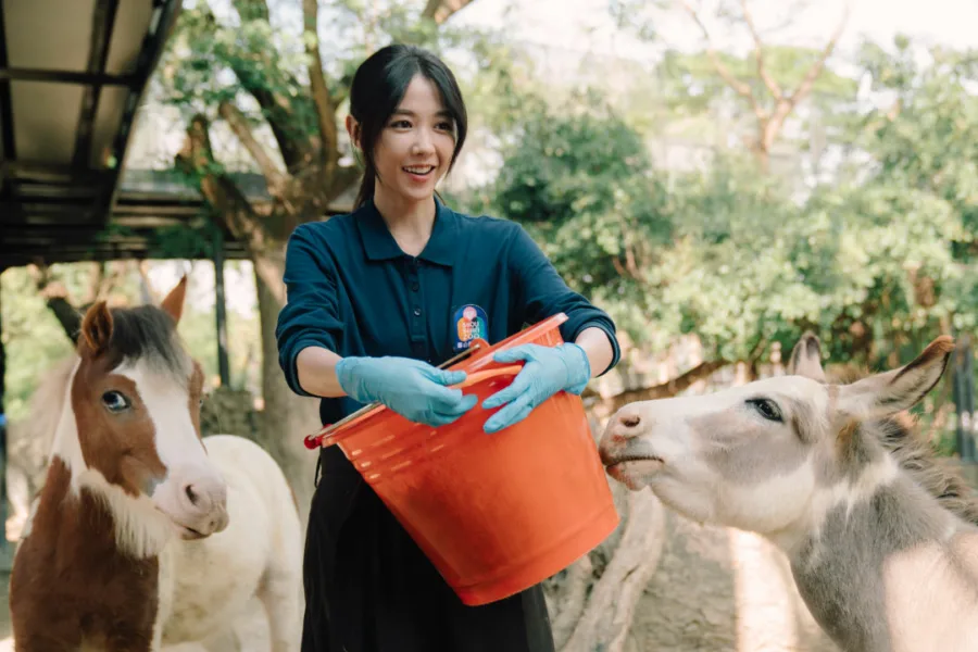 新片 媒體採購 廣編稿 廣告合作 異業合作 互惠 2月20日 Disney+ 療癒上線 邵雨薇 王柏傑 動物園 李淳