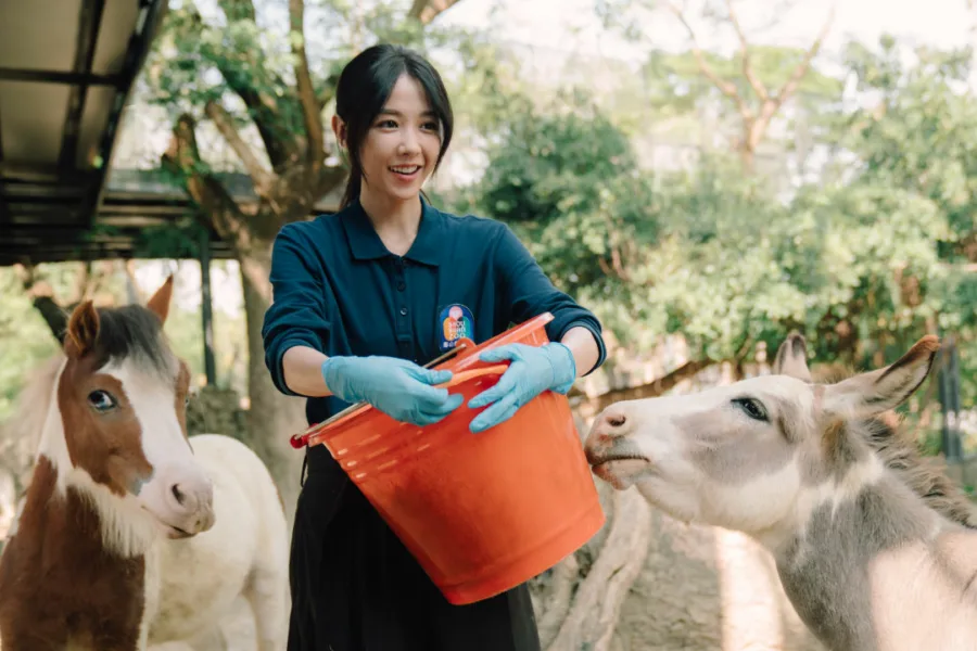 新片 媒體採購 廣編稿 廣告合作 異業合作 互惠 2月20日 Disney+ 療癒上線 邵雨薇 王柏傑 動物園 李淳