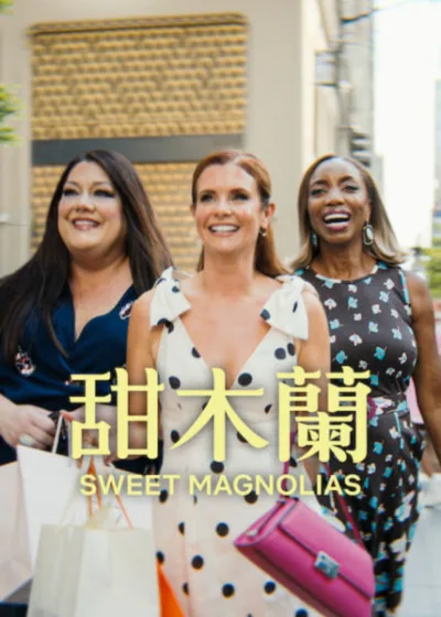Netflix 新片 媒體採購 廣編稿 廣告合作 異業合作 互惠 甜木蘭 Sweet Magnolias Season 5 麥蒂  影集 海倫 南卡羅萊納州  2026 影集 甜木蘭 達娜蘇 寧鎮小鎮  Maddie Helen Dana Sue 摯友 浪漫劇情   情感獨立 完美生活失控  影集 甜木蘭 不知名威脅 混亂任務 生存演算
