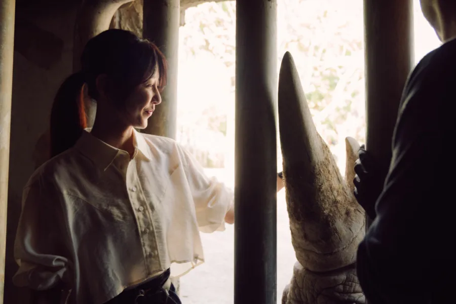 新片 媒體採購 廣編稿 廣告合作 異業合作 互惠 2月20日 Disney+ 療癒上線 邵雨薇 王柏傑 動物園 李淳