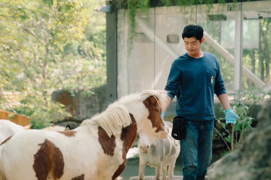 新片 媒體採購 廣編稿 廣告合作 異業合作 互惠 2月20日 Disney+ 療癒上線 邵雨薇 王柏傑 動物園 李淳