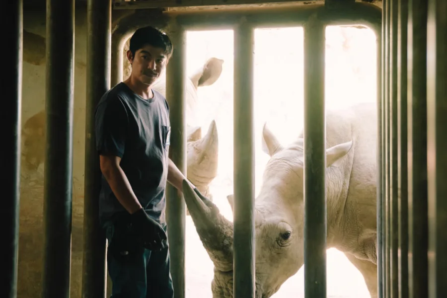 新片 媒體採購 廣編稿 廣告合作 異業合作 互惠 2月20日 Disney+ 療癒上線 邵雨薇 王柏傑 動物園 李淳