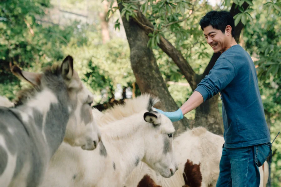 新片 媒體採購 廣編稿 廣告合作 異業合作 互惠 2月20日 Disney+ 療癒上線 邵雨薇 王柏傑 動物園 李淳