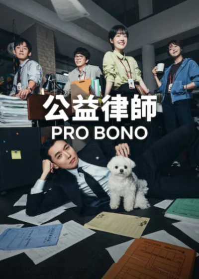 Netflix 新片 媒體採購 廣編稿 廣告合作 異業合作 公益律師 鄭敬淏 Netflix韓劇 ProBono 韓國律政劇 金成允 蘇珠妍