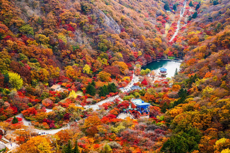 參加Klook內藏山賞楓一日遊，造訪有「韓國第一楓葉山」之稱的內藏山