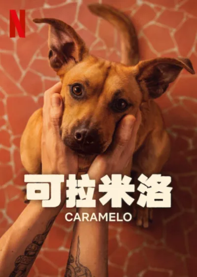 可拉米洛 Netflix新片 電影 媒體採購 廣編稿 廣告合作 Caramelo RafaelVitti Amendoim 溫馨喜劇