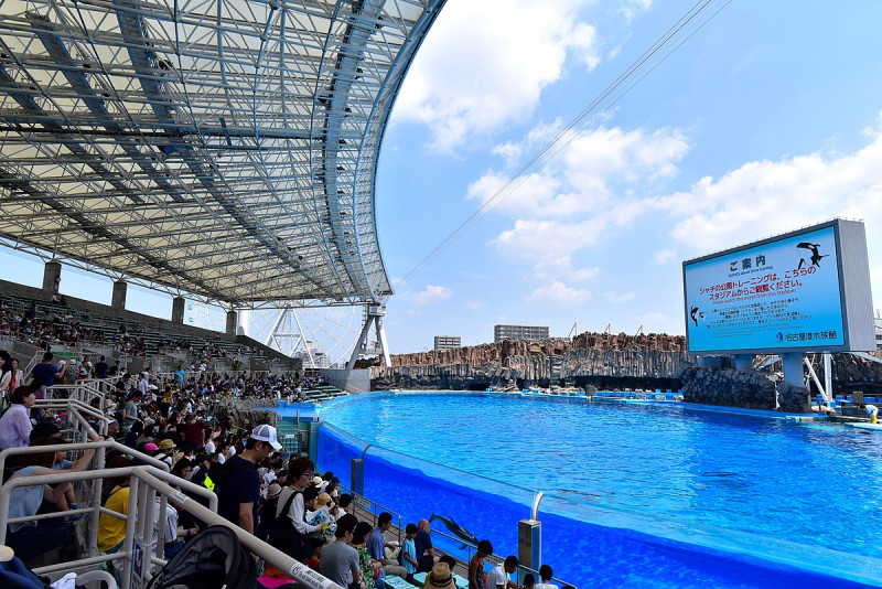 日本最大戶外水槽 名古屋、名古屋城 天守閣、名古屋 波音博物館、名古屋港水族館、金鯱橫丁、日本樂高樂園