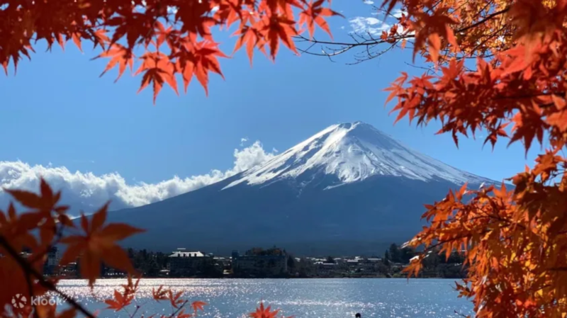 富士山周邊擁有許多賞楓勝地，可透過Klook一日遊將所有美景一網打盡