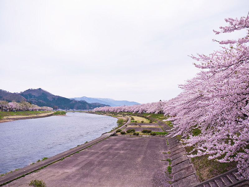 秋田縣 橫手雪屋祭、橫手雪屋祭、竿燈祭、武家屋敷 角館、小安峽溫泉