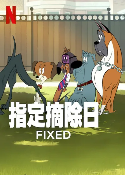 指定摘除日 Netflix新片 電影 媒體採購 成人動畫喜劇 甘地塔塔卡夫斯基 阿牛冒險 靈魂交換 狗狗友情 Netflix暑期