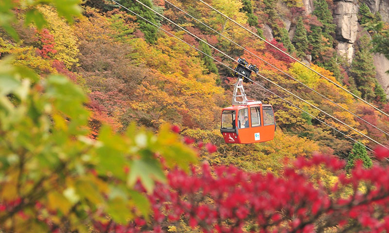 搭乘纜車欣賞大阪楓紅美景，漫步於夜晚燈海