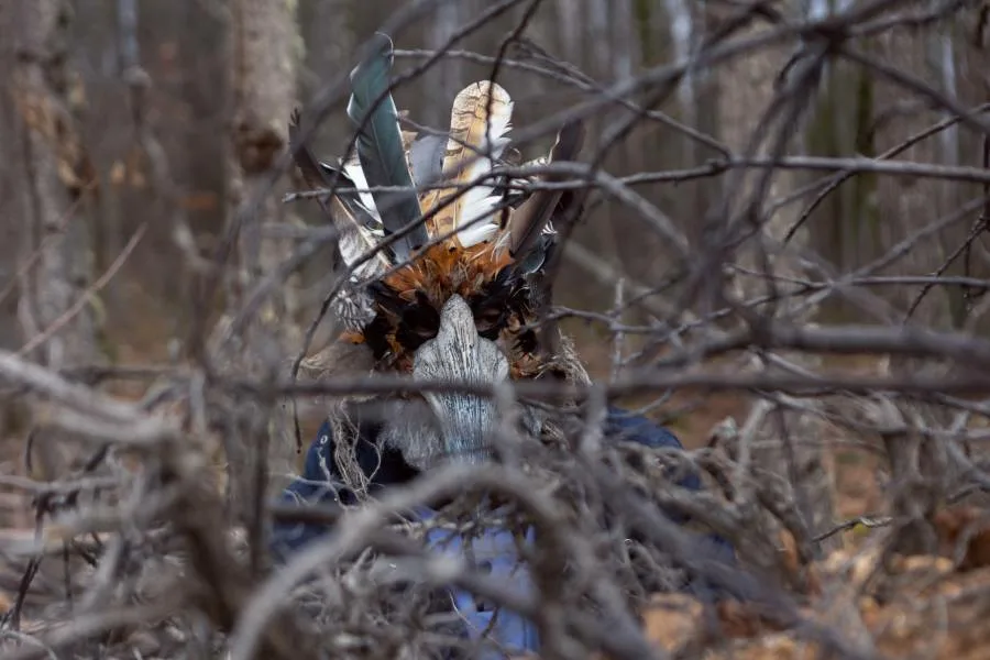 水晶布穀鳥 Netflix 新片 媒體採購 廣編稿 廣告合作 Catalina Sopelana 克拉拉梅洛 心臟移植 Heart Transplant 小鎮迷霧 Town Mystery 二十年舊謎 西班牙懸疑