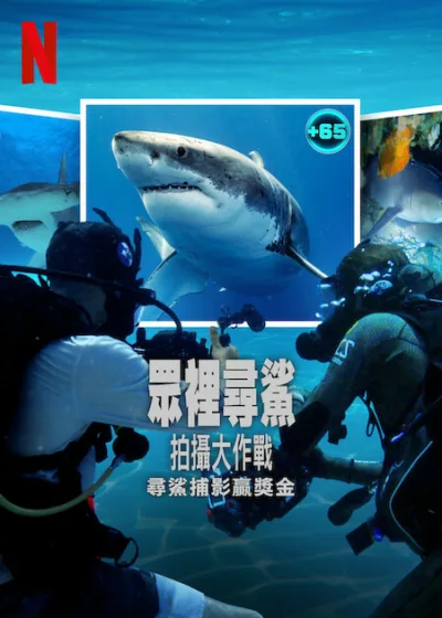眾裡尋鯊拍攝大作戰  Netflix 新片 媒體採購 鯊魚冒險 海洋保育 真人實境 水下攝影 生態保護 競賽影集