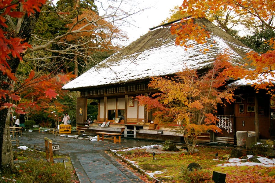 松島町的圓通院 日本東北、岩手縣、宮城縣、秋田縣、山形縣、八甲田山、仙台七夕祭