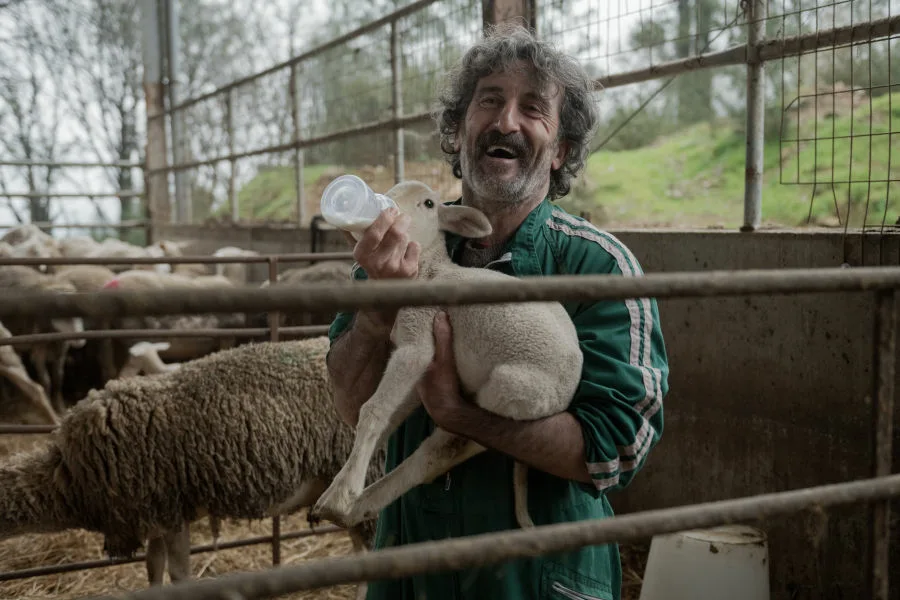老派新獸醫 Netflix 新片 媒體採購 廣編稿 廣告合作  Old Dog New Tricks Luis Zahera Lucía Caraballo 西班牙喜劇 Netflix影集