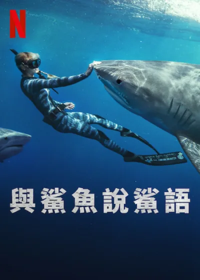 與鯊魚說鯊語 Netflix新片 電影 媒體採購 harkWhisperer OceanRamsey Netflix紀錄片 海洋保育 6月30上映