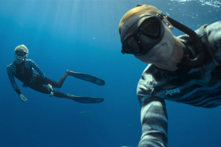與鯊魚說鯊語 Netflix新片 電影 媒體採購 harkWhisperer OceanRamsey Netflix紀錄片 海洋保育 6月30上映