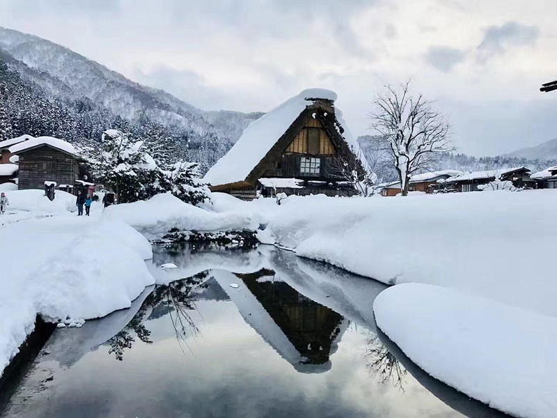 走訪超人氣景點白川鄉合掌村，欣賞富有日本特色的傳統合掌造建築