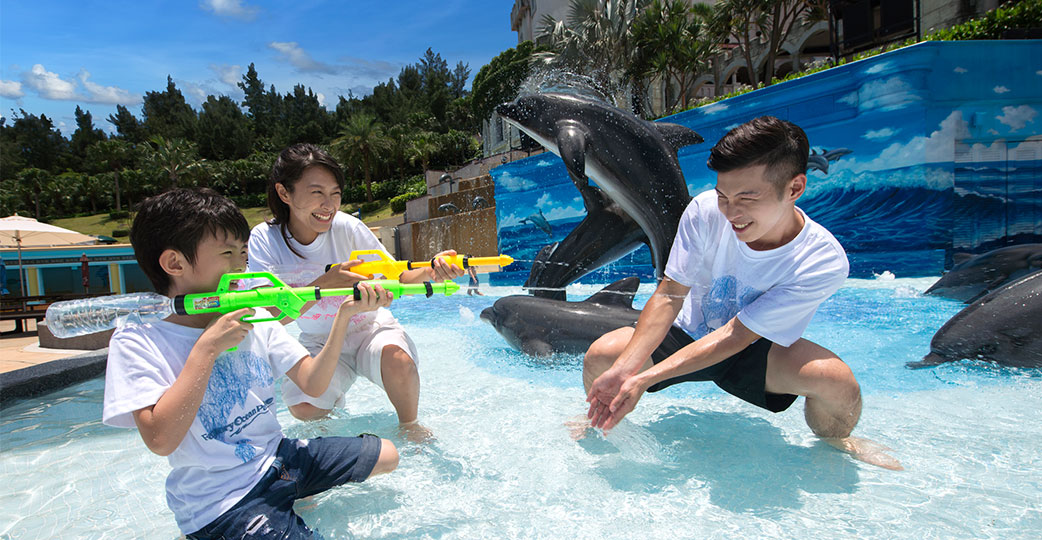 海豚3D戲水池
