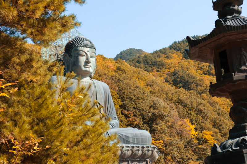 雪嶽山中還有許多瀑布、寺廟等景點，如飛龍瀑布、新興寺、仙女湯瀑布，也增添了秋季賞楓的樂趣