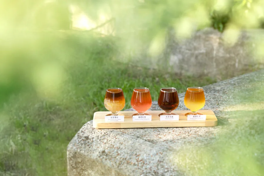 媒體採購 廣編稿 廣告合作 麻古茶坊 紅萱烏龍 三段式焙 郁茶香 茶飲體驗 分享壺 保冷袋